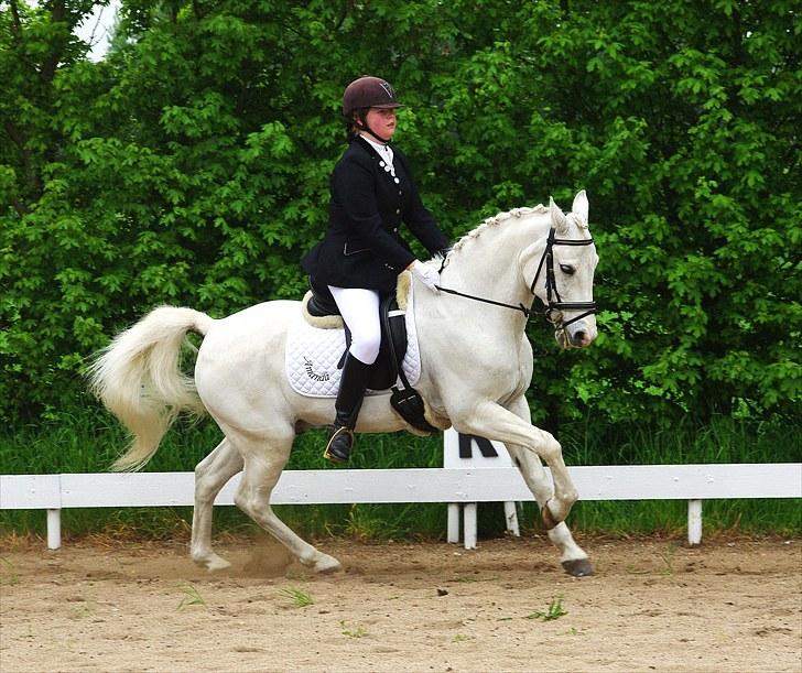 Anden særlig race Pontus - *Min skytsengel* - Fordi dine øgninger siger Spar 5!!:*<3 billede 4