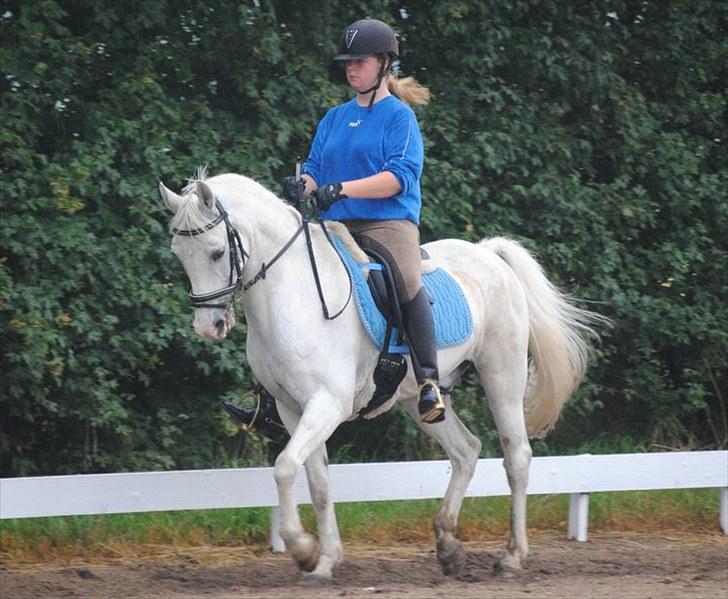 Anden særlig race Pontus - *Min skytsengel* - Fordi du er dygtig!! billede 8