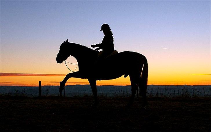 Dansk Varmblod Kananka skovgaard - 23.01.11 - Spanske! :D Foto: Kæresten <3 billede 1