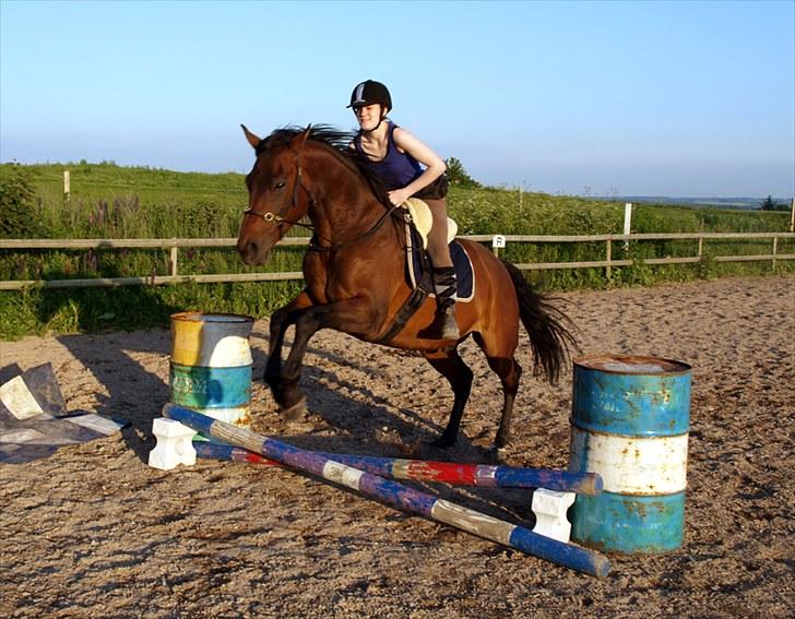 Dansk Varmblod Kananka skovgaard - 23.06.10 Hopla!! Foto: Kæresten <3 billede 16