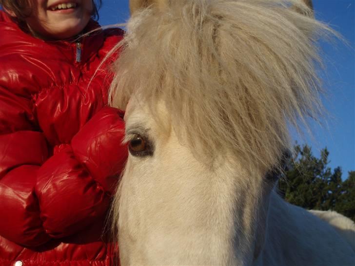 Islænder FREJA fra MYRETUE SOLGT - I told you that i love you... And i swear i still do! <3 billede 6