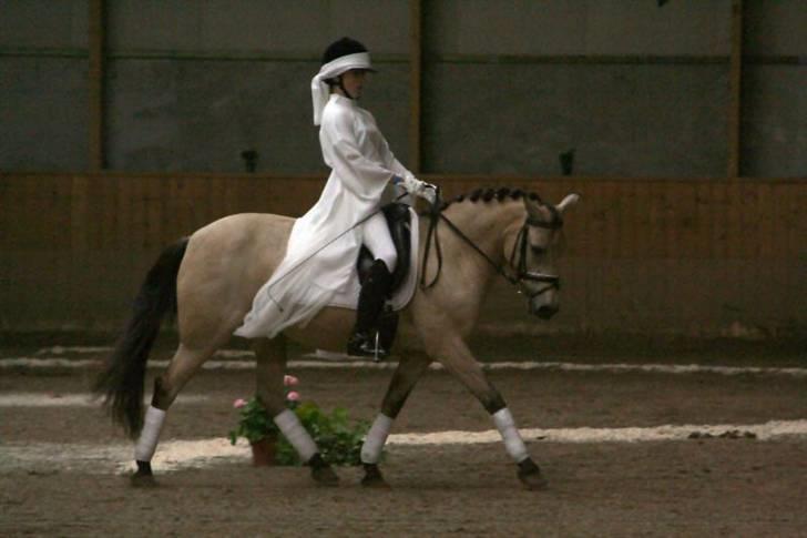 Welsh Partbred (Sec F) Donna Amalina Østervang - Rytter: Malene ved DM i ponygames 08 , Donna var reserve pony. Fotograf Ann Louise billede 8