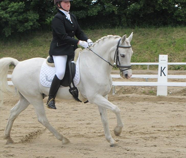 Anden særlig race Pontus - *Min skytsengel* - Fordi det var vores første La1:*<3 billede 13