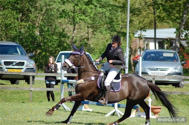 Hannoveraner Bona Laudata(aflivet:'() - DRK - hold kæft du kan strække dig når vi rider stærkt!<3 foto:?? billede 12