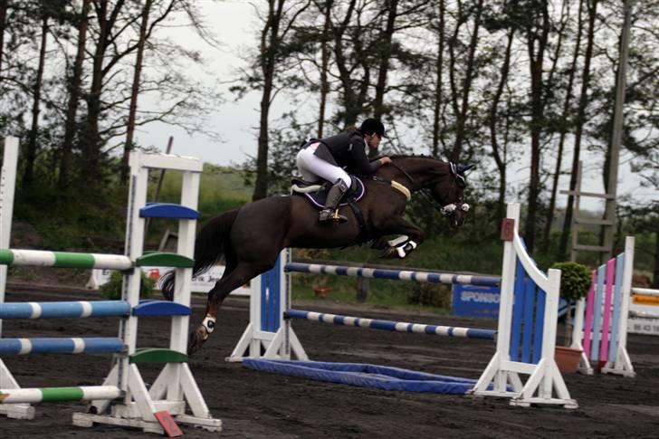 Hannoveraner Bona Laudata(aflivet:'() - LA kallehavegaard 2009!OMG du sprang godt Ö foto:strømpen billede 13