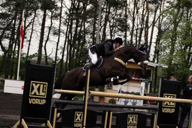 Hannoveraner Bona Laudata(aflivet:'() - LA kallehavegaard 2009!OMG du sprang godt Ö foto:strømpen billede 15