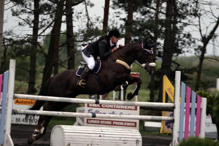 Hannoveraner Bona Laudata(aflivet:'() - LA kallehavegaard 2009!OMG du sprang godt Ö foto:strømpen billede 17