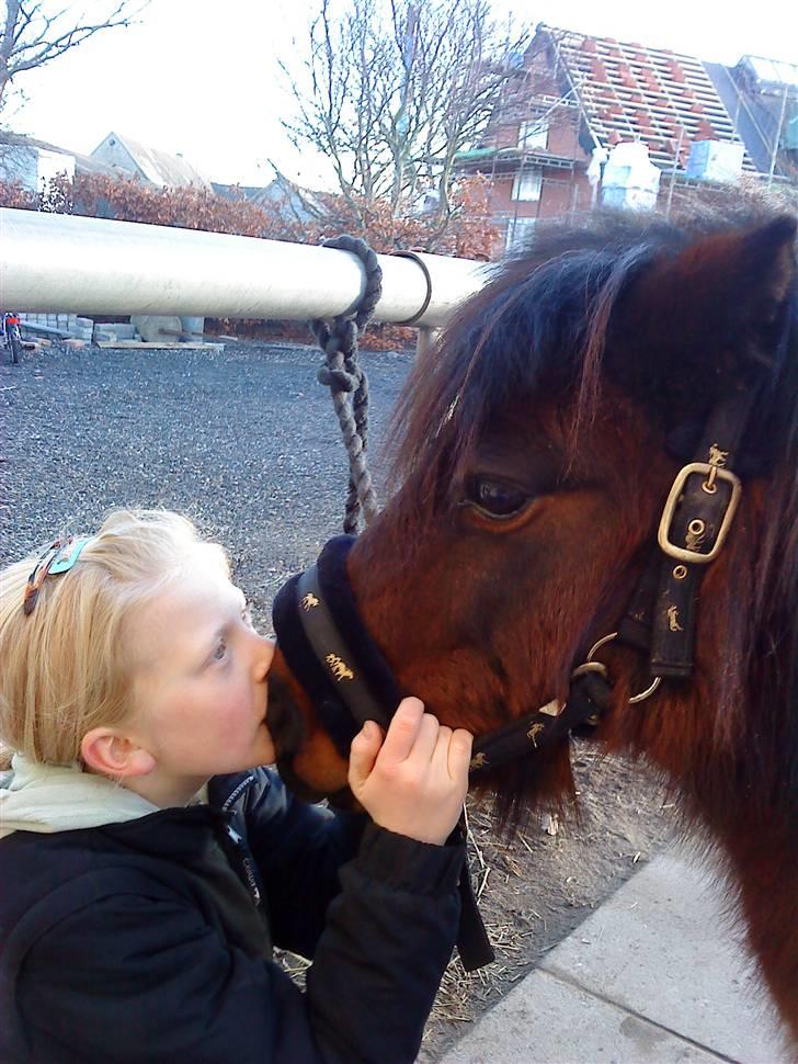 Anden særlig race Claus<3Gammel passerSOLGT - skønt med et lille kys :O billede 7