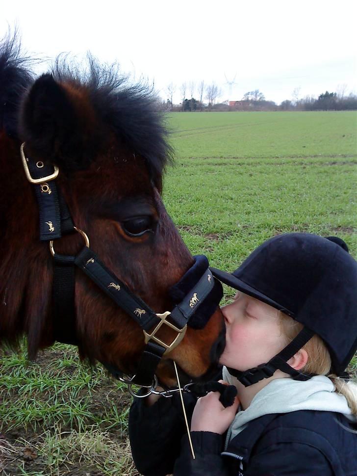 Anden særlig race Claus<3Gammel passerSOLGT - skøn med endnu et kys  :O  billede 9