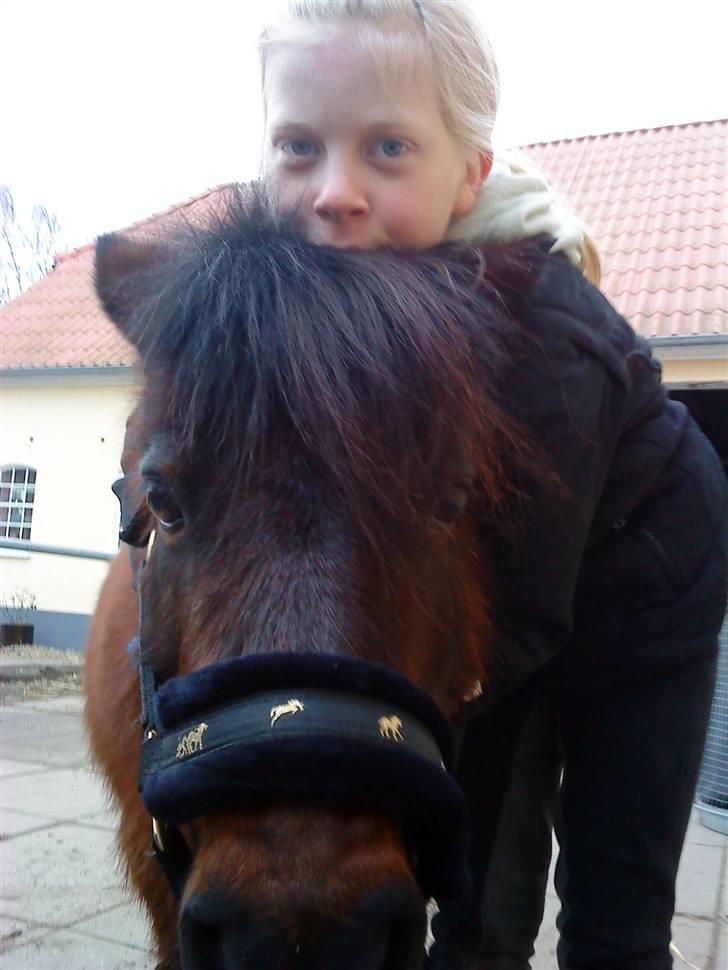 Anden særlig race Claus<3Gammel passerSOLGT - mig og Claus<33 billede 12