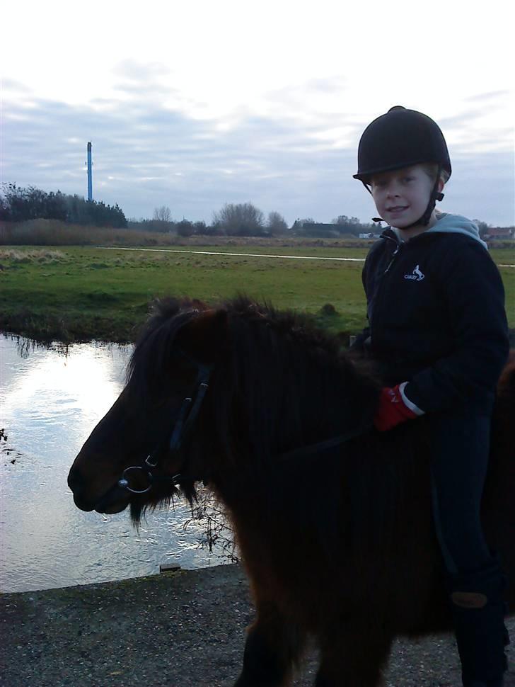 Anden særlig race Claus<3Gammel passerSOLGT - mig og Claus rider en tur:)    ( over en bro der var MEGET farlig:P  ) billede 14