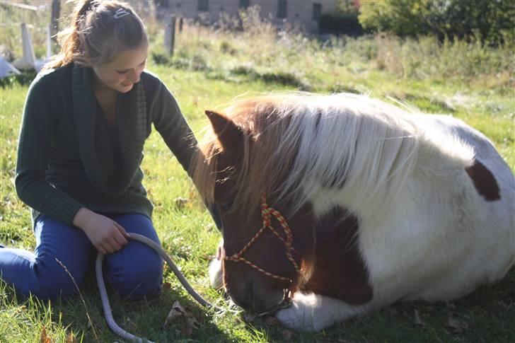 Pinto BRYTINGS BALOO - "Souls in Harmony" <3 Foto: Lykke <3 billede 14
