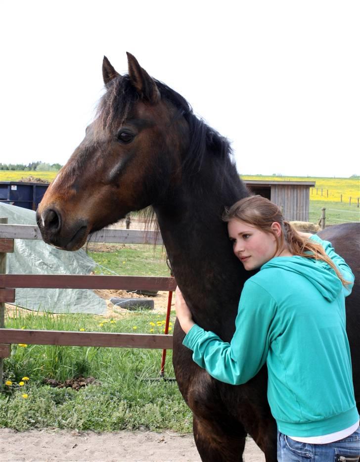 Anden særlig race Aavangs Mikado, Svampebob - Vil jeg nogensinde kunne fortælle dig hvor meget jeg elsker dig? <3 Foto: Lykke mester fotografen!! <3 billede 15