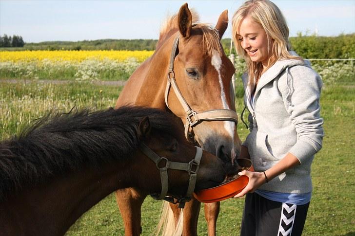 Anden særlig race Stella Af Toftlundgaard<3 - Stellas fødselsdag<3  Elsker det billede selv om jeg ligner lort efter vandkamp. billede 14