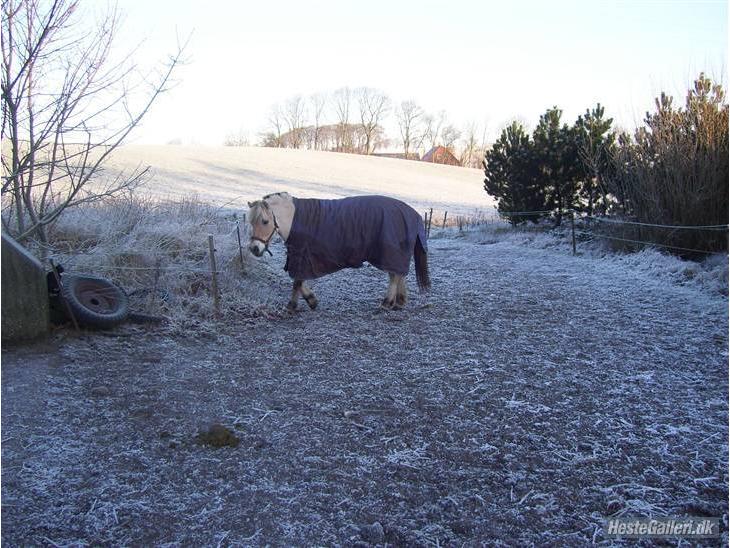 {{currentPhoto.altText}} billede {{currentPhoto.number}}