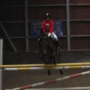 Anden særlig race Scott