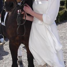 New Forest Lajka :') Elsket og savnet af rigtig mange :'i <3