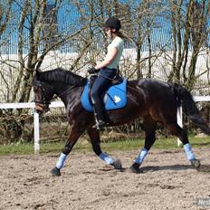 Anden særlig race Yasya [ solgt] 