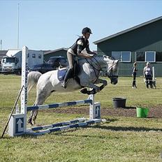 Anden særlig race Moonlight