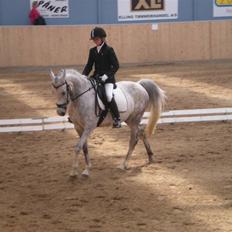 Anden særlig race Moonlight