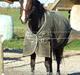 Hollandsk Sportspony O'mienaisha (†09) 10/4-09