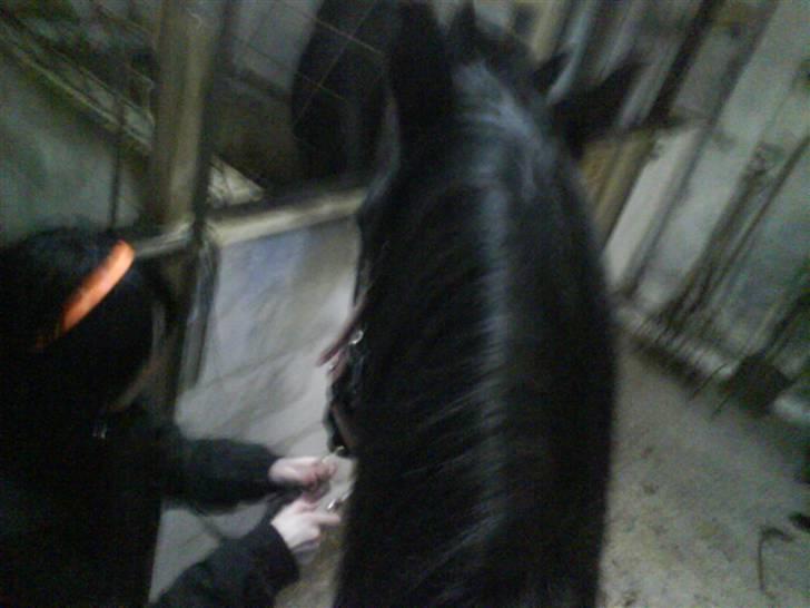 Traver Safir - Her sidder jeg så HELT oppe på Safir, og nøhj, der er godt nok langt ned for lille mig:D! billede 7