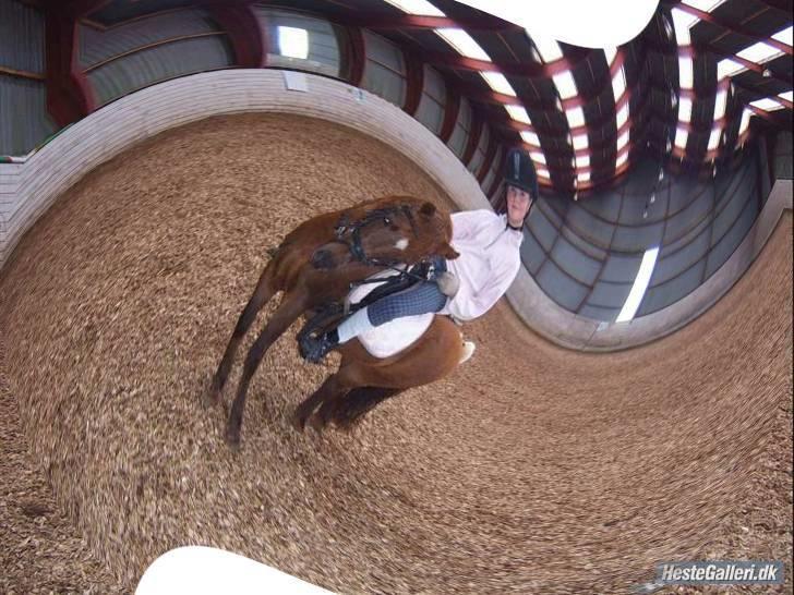 Anden særlig race Freja (rider) - jeg fuld elders kan man da ikke stå så dan billede 15