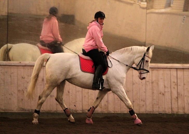 Knabstrupper Coco's J'aime La Vie MIN - Min søster og den bedste Coco<333 billede 13