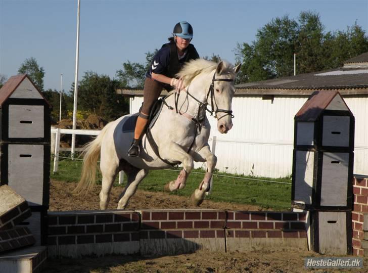 Knabstrupper Coco's J'aime La Vie MIN - Første gang mig og Coco springer på springhold<333 billede 17