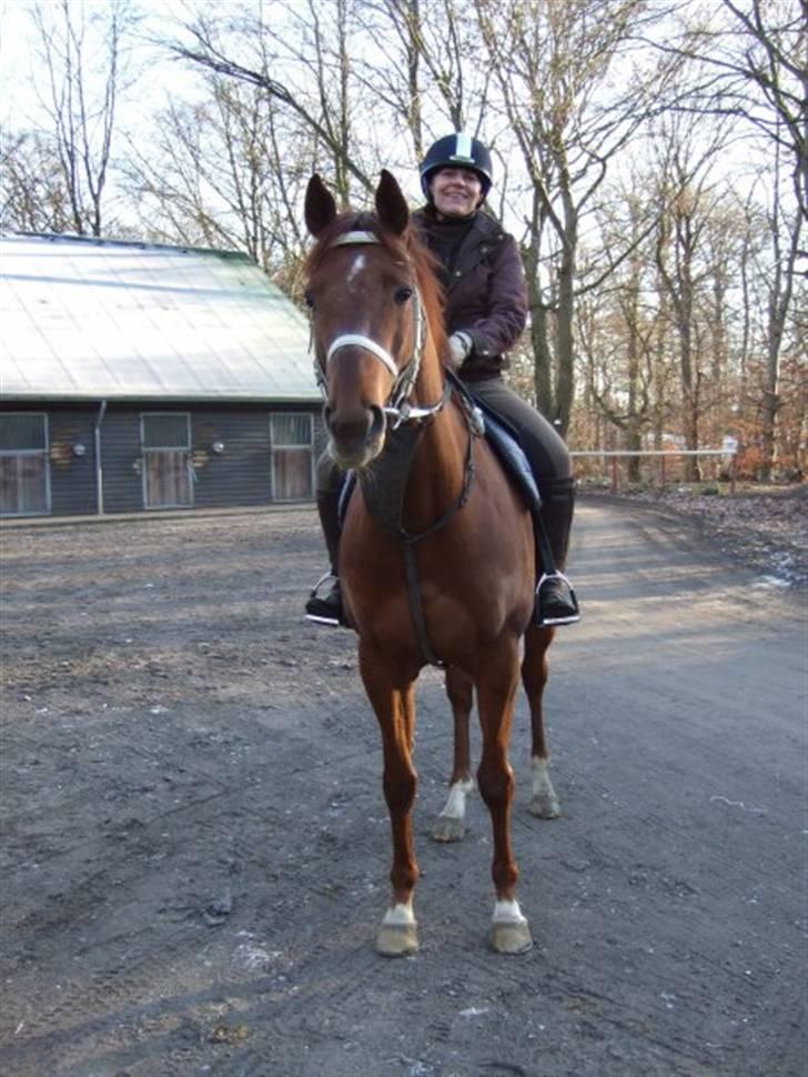 Fuldblod (XX) action time (Flyttet) billede 4