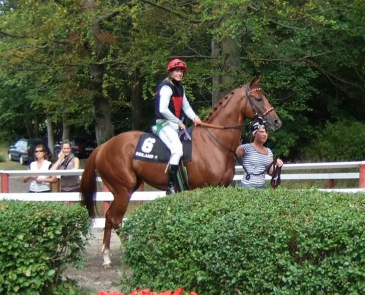 Fuldblod (XX) action time (Flyttet) billede 6