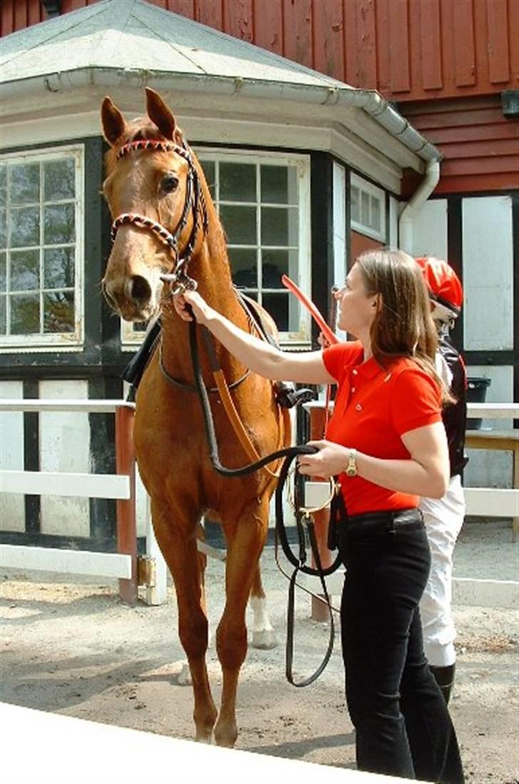 Fuldblod (XX) action time (Flyttet) billede 15