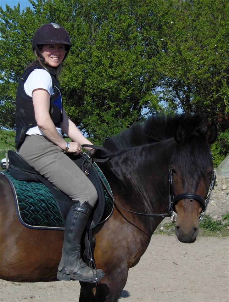 New Forest Pan (Panse Mandse) - En dejlig sommer ridetur :-) billede 6