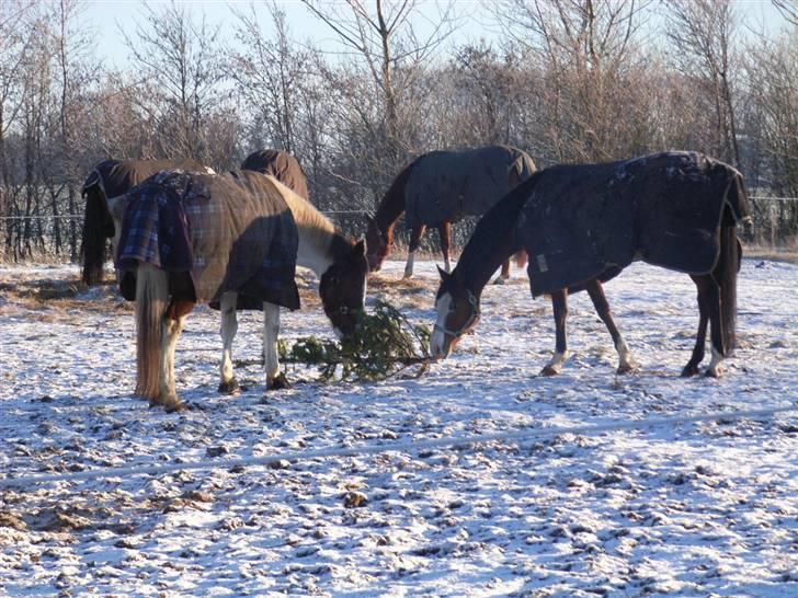 Paint Vigilia E H Surprise *RIP:'(<3* - Der er ikke så meget at sige - andet end you mean the world to me! billede 14