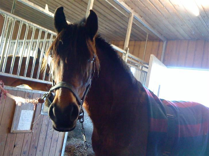 DSP Bay Runner (gammel part)= - BayManden står fint på gangen...  <3 billede 9