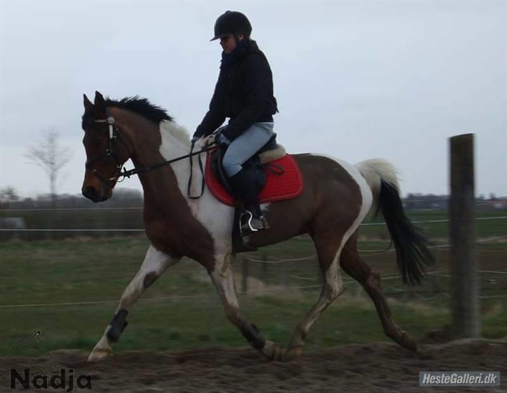 Anden særlig race Elmelunds Dalton- Søsters - Mig og smukke Dalton i en øgning - Taget af mesterfotografen Nadja :D tusind tak <3 billede 18