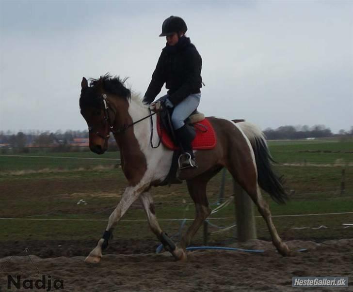 Anden særlig race Elmelunds Dalton- Søsters - Mig og smukke Dalton i en øgning - Taget af mesterfotografen Nadja :D tusind tak <3 billede 19