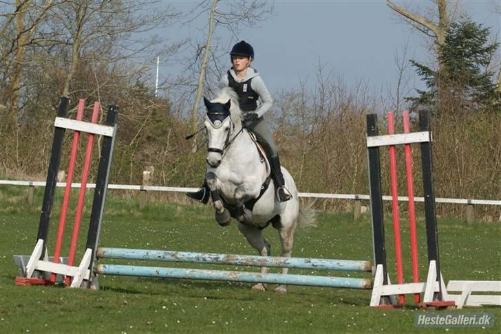 Connemara Calle - SOLGT - //Fotomb// billede 17