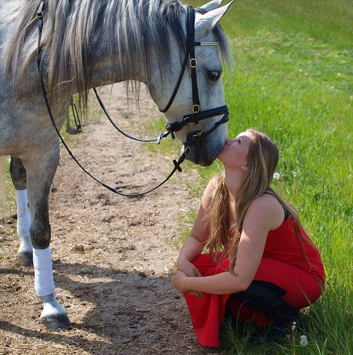 Anden særlig race Lanett billede 6