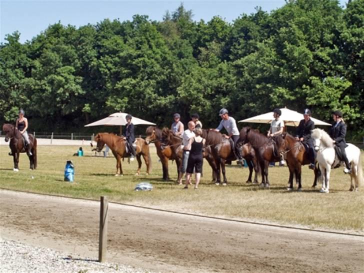 Islænder Týra fra Carlshøj - mener vi endte på en delt trejdeplads billede 17