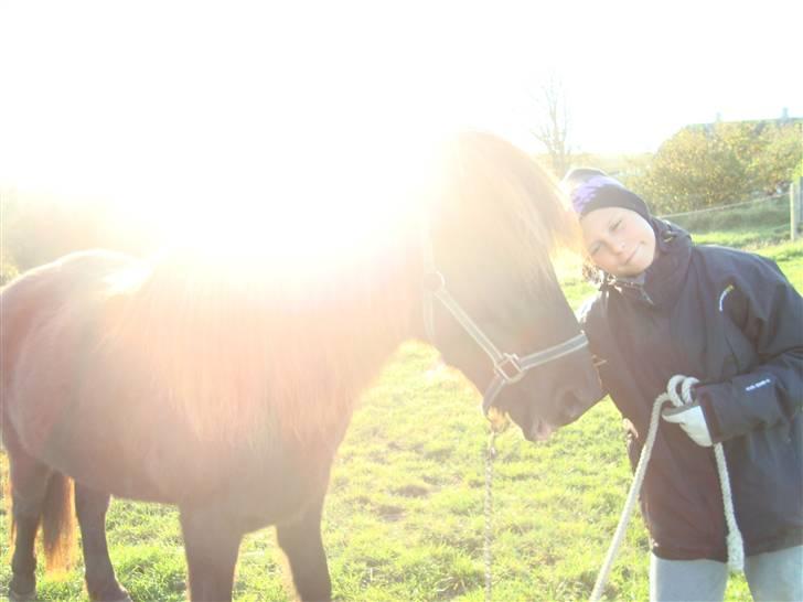 Islænder Týra fra Carlshøj - Min bror Frederik og Týra :D billede 18