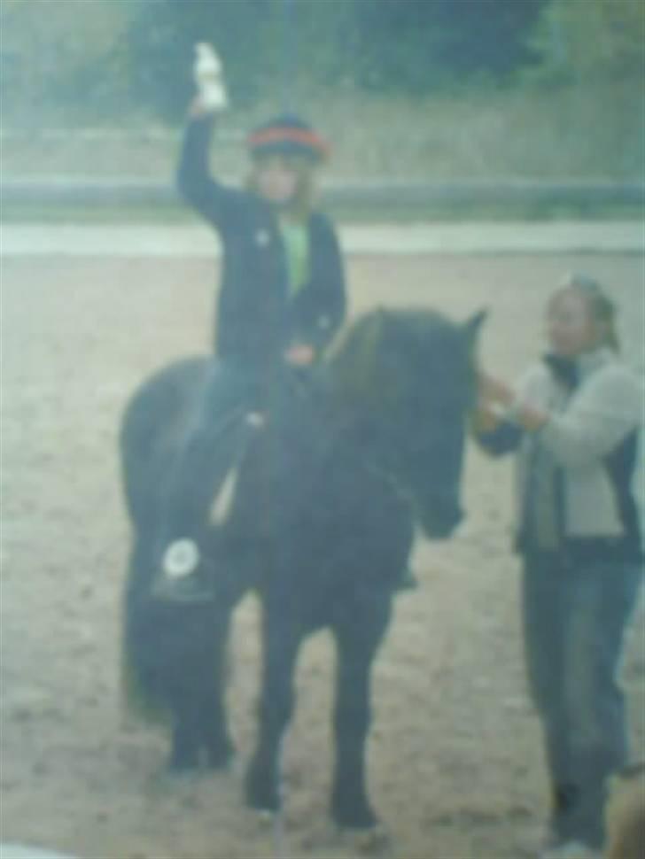 Islænder Hlynir f. essendrup SOLGT - 1. plads + pokal i T.8 billede 7