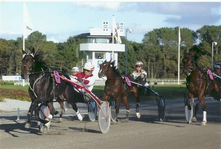 Traver Line Bøg. - 2 åsr GP.<3.  billede 2
