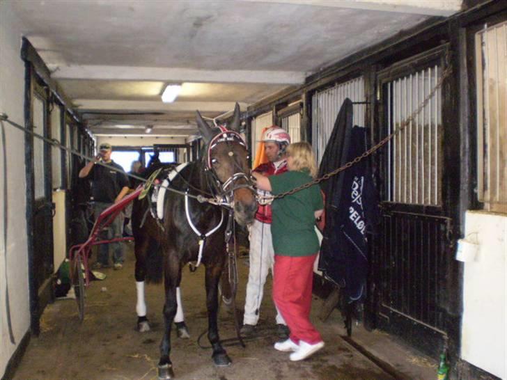 Traver Line Bøg. - så er  den klar i århus<3.. billede 3