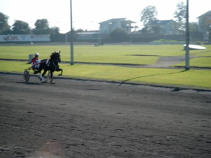 Traver Line Bøg. - så køre det<33 . billede 5