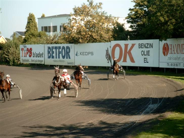 Traver Line Bøg. - til start<3. billede 6