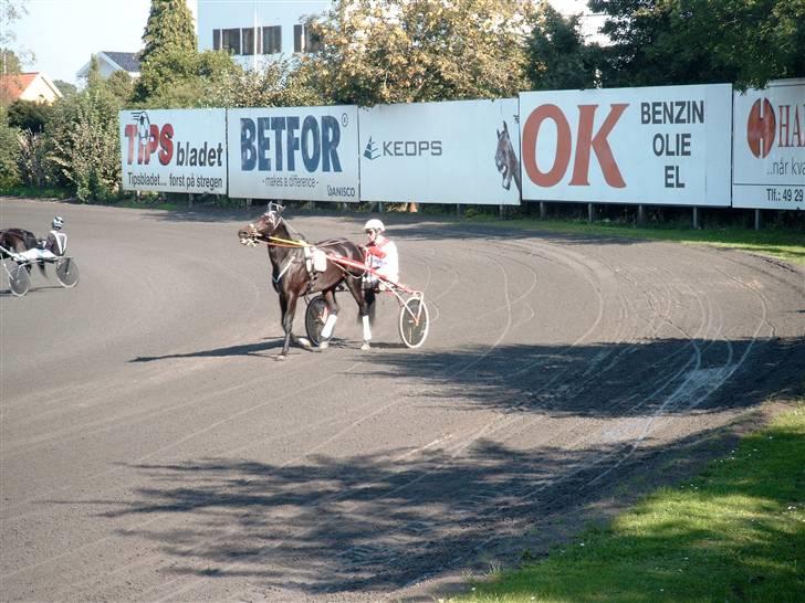Traver Line Bøg. - til start<3.;ii. billede 7