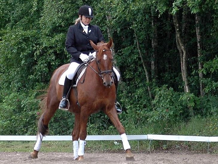 Anden særlig race Contesses Babe *>Rider<3! - Shenkelvigning :D LB2 til hyllebjerg stævne. billede 9