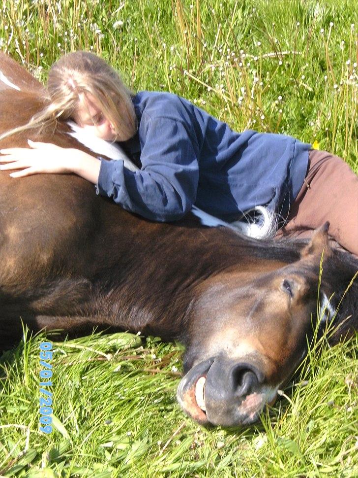 Islænder Embla fra Vesterlund - *Team Bækdalen* billede 11