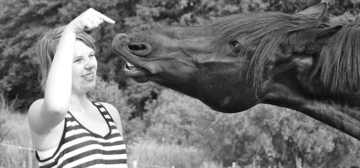 Anden særlig race Shadow - "Smile, smile!" Dygtig baby, klikkertræningen er begyndt <3 Fotograf: Signe Kieler. billede 6